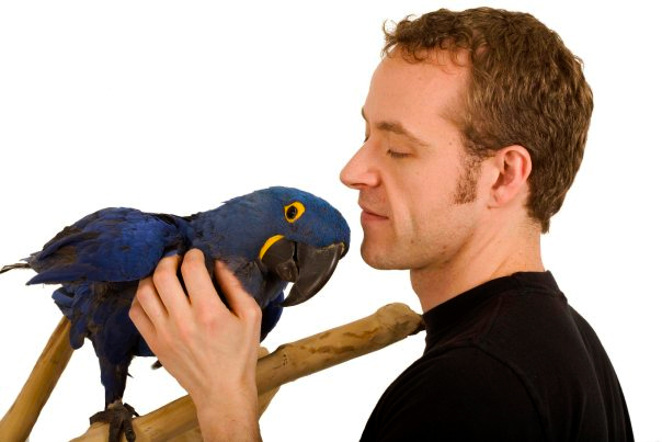 Daniel with Jack, his Hyacinth Macaw