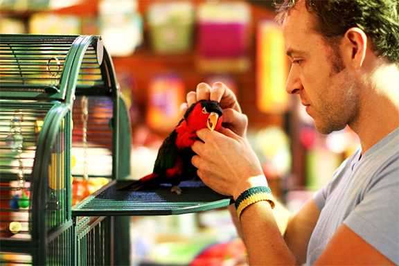 OJ (a Black-capped Lory) and Daniel