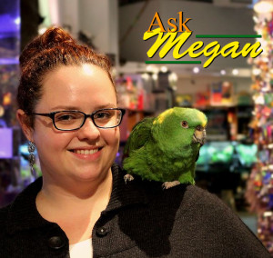 Ask Megan
