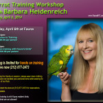 Barbara Heidenreich Parrot Workshop