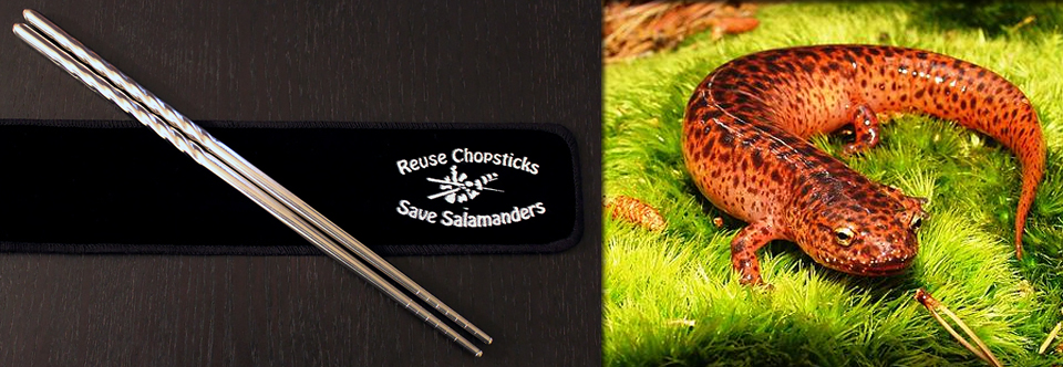 Reuse Chopsticks – Save Salamanders